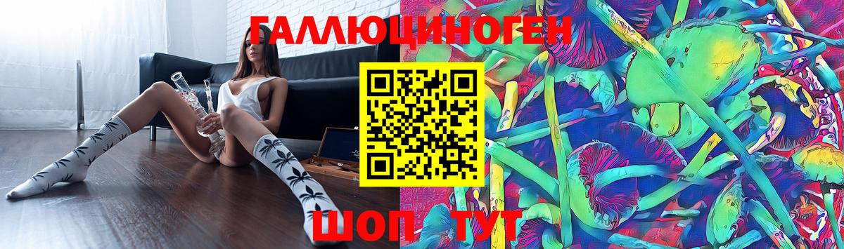 Галлюциногенные грибы Magic Shrooms  Псилоцибиновые грибы GOLDEN TEACHER  Вход с VPN  Тула 